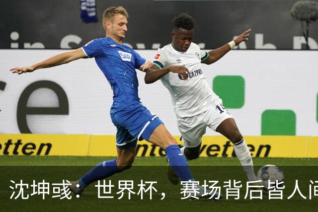 沈坤彧：世界杯，赛场背后皆人间